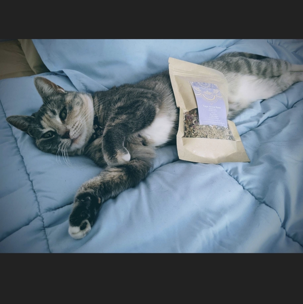 SLEEP - Witch's Sleepy Time Relaxation Herbal Tea Blend